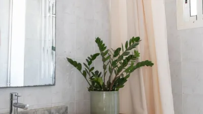Apartment in Nou Llevant photo 24