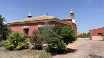 Rustic Finca in Villanueva de la Concepción photo 13