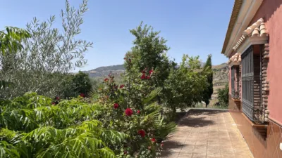 Rustic Finca in Villanueva de la Concepción photo 14