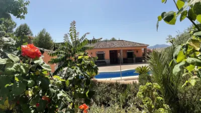 Rustic Finca in Villanueva de la Concepción photo 19