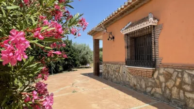 Rustic Finca in Villanueva de la Concepción photo 21