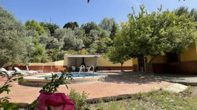 Rustic Finca in Villanueva de la Concepción photo 39