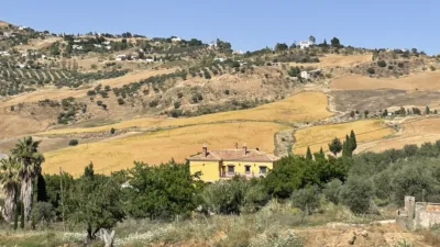 Rustic Finca in Villanueva de la Concepción photo 50