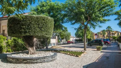 Townhouse in Algorfa photo 39