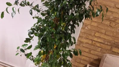 Piso en alquiler en Calle del Conde de Altea, cerca de Carrer de Císcar - Imagen 10