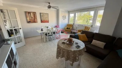 Duplex in , Beach Area, Close to the Sea, Town photo 9