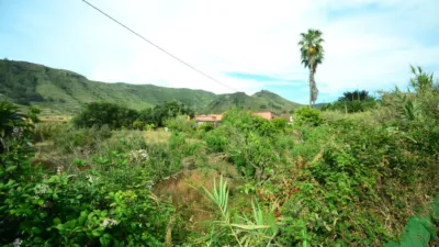 House on Calle El Tejar photo 3