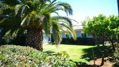 House on Calle de las Llaves photo 18