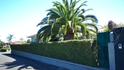 House on Calle de las Llaves photo 19