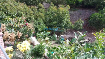 Casa en , Cerca del Pueblo photo 30