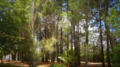 Chalet in Valls photo 11