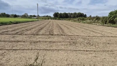 Piso – Guardamar del Segura - Vista 2