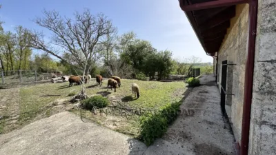 House in Villagonzalo Area photo 17