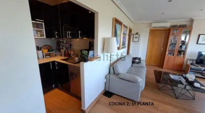 House in La Pizarrera photo 8