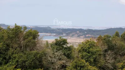 Chalet in Villalonga photo 66