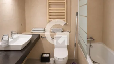 Duplex Penthouse on Avinguda del Ferrocarril photo 11