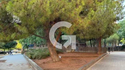 Apartment on Carrer Cl Mestre Perez I Moya photo 6