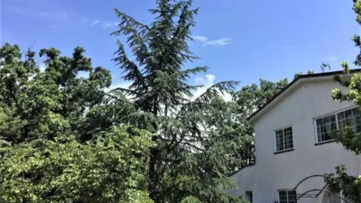 House in La Pizarrera photo 2