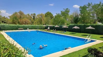 House in La Pizarrera photo 37