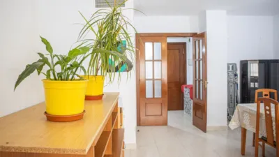 Apartment on Juan Carlos I Street photo 5