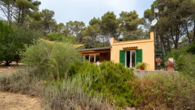 House on Urbanización Es Verger Street photo 38