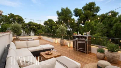 House on Passeig Pins, Dels photo 24