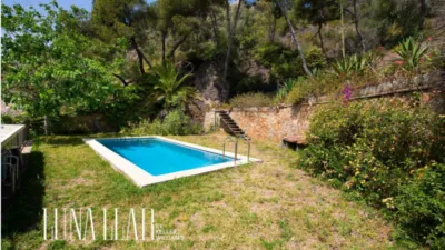 House on Passeig Pins, Dels photo 2
