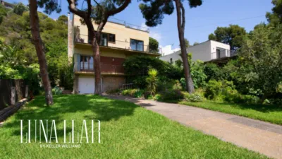 House on Passeig Pins, Dels photo 3