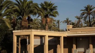 Casa – Elx - Elche - Vista 5