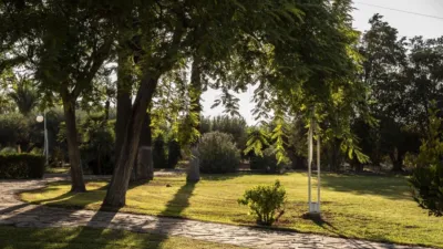 Casa – Elx - Elche - Más