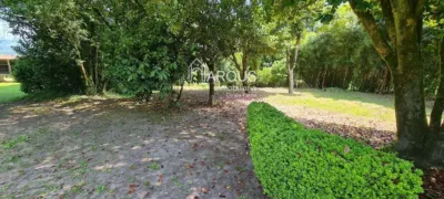 House in A Estrada photo 48