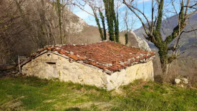 House in Foz de Caso photo 14