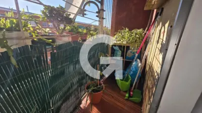 Apartment in Vilafranca photo 18