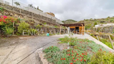 Chalet in Granadilla photo 56