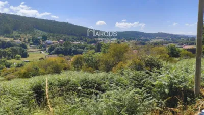 Terreno en venta en Campus Sur-Santa Marta - Vista 5