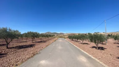 Casa – Sax, La Estación, l'Alt Vinalopó / El Alto Vinalopó - Más