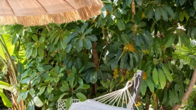 Villa in Torreblanca del Sol photo 26