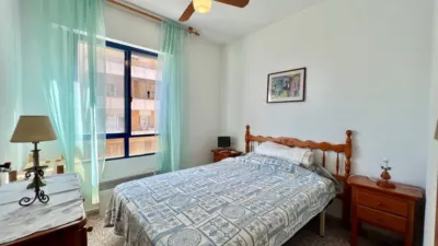 Apartment in Guardamar del Segura photo 8