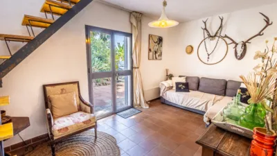 Rustic Finca in Centro photo 12