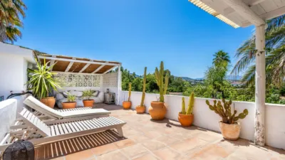 Rustic Finca in Centro photo 20