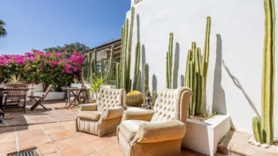Rustic Finca in Centro photo 33