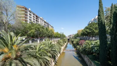 Apartment on Passeig de Mallorca photo 27