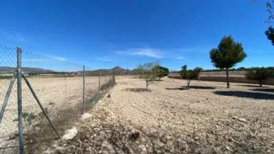 Casa – Salinas, Cecilia Bartolomé (Mujeres Libres), l'Alt Vinalopó / El Alto Vinalopó - Vista 3