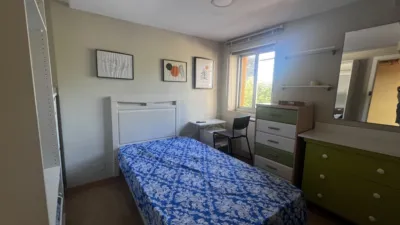Apartment in Peñacastillo-Nueva Montaña photo 9