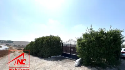 Rustic farm in Lebrija