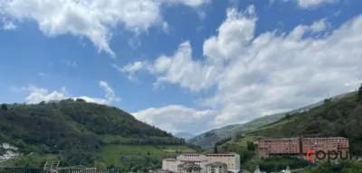 Apartment in Cangas del Narcea photo 14
