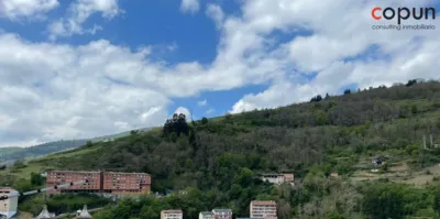 Apartment in Cangas del Narcea photo 32