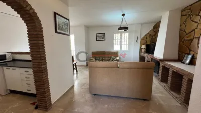 Apartment in Mezquitilla photo 11
