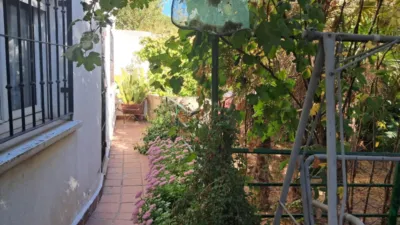 House in Aguas Vivas-Las Lomas-Alamín photo 13