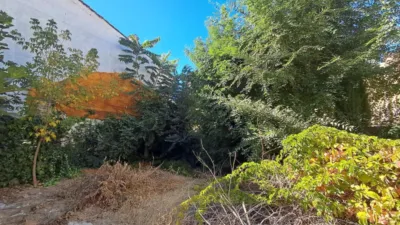 House in Aguas Vivas-Las Lomas-Alamín photo 18